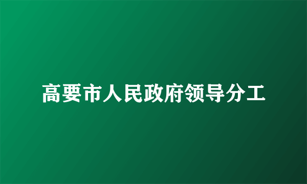 高要市人民政府领导分工