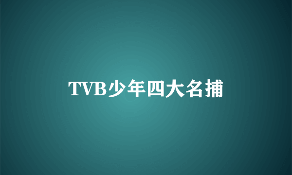 TVB少年四大名捕