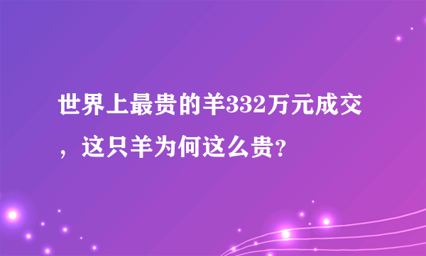 世界上最贵的羊332万元成交，这只羊为何这么贵？