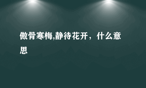 傲骨寒梅,静待花开，什么意思