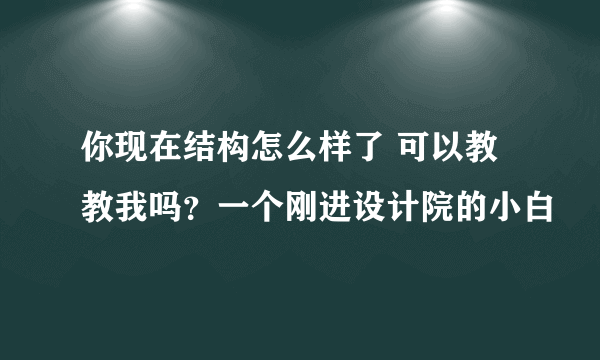 你现在结构怎么样了 可以教教我吗？一个刚进设计院的小白