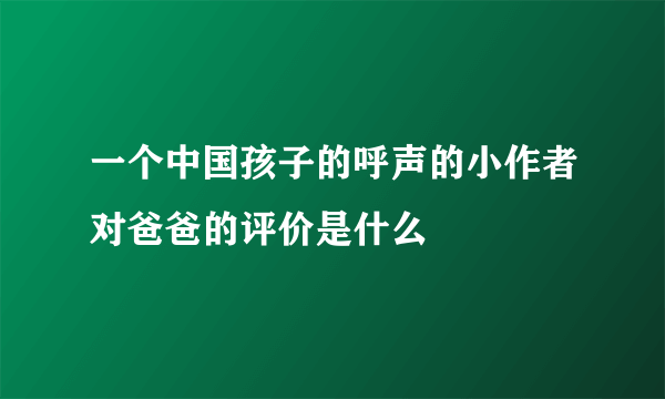 一个中国孩子的呼声的小作者对爸爸的评价是什么