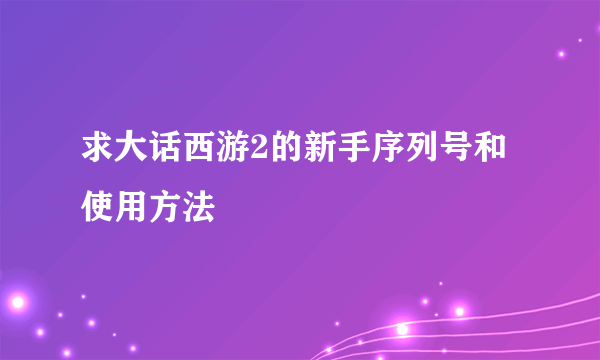 求大话西游2的新手序列号和使用方法