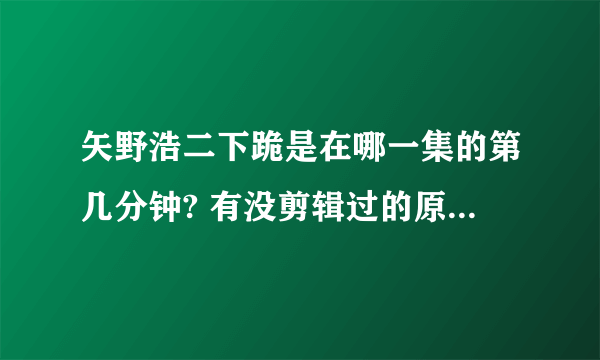 矢野浩二下跪是在哪一集的第几分钟? 有没剪辑过的原版影像吗?发给我加分哦！