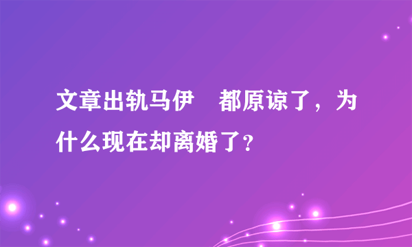 文章出轨马伊琍都原谅了，为什么现在却离婚了？