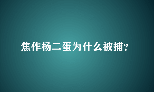 焦作杨二蛋为什么被捕？