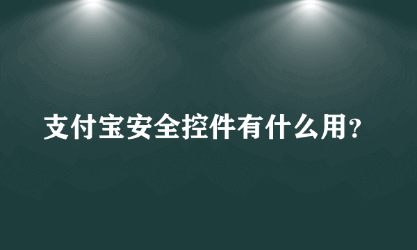 支付宝安全控件有什么用？