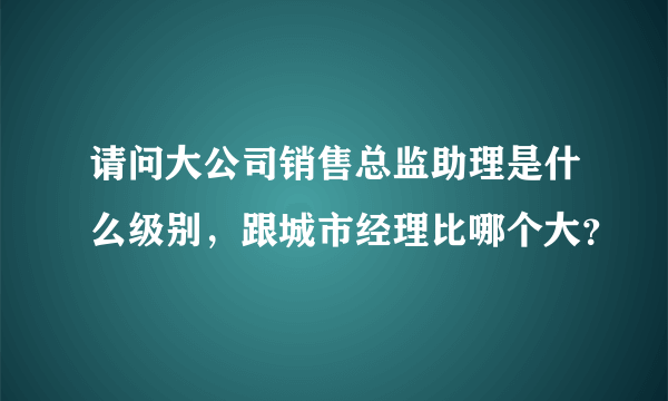 请问大公司销售总监助理是什么级别，跟城市经理比哪个大？