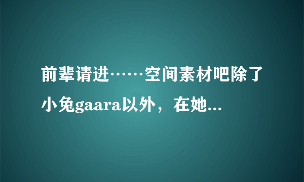 前辈请进……空间素材吧除了小兔gaara以外，在她之前的吧主是谁？