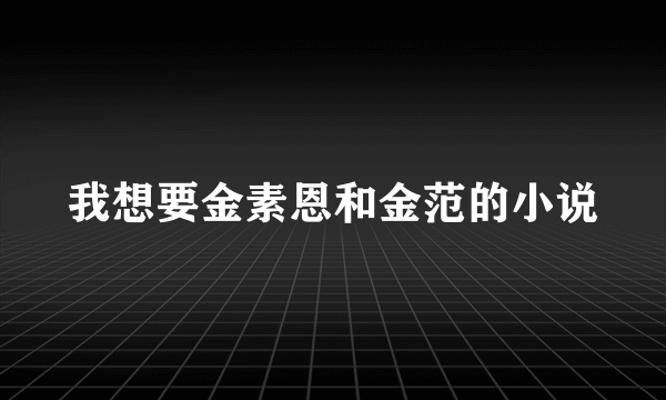 我想要金素恩和金范的小说