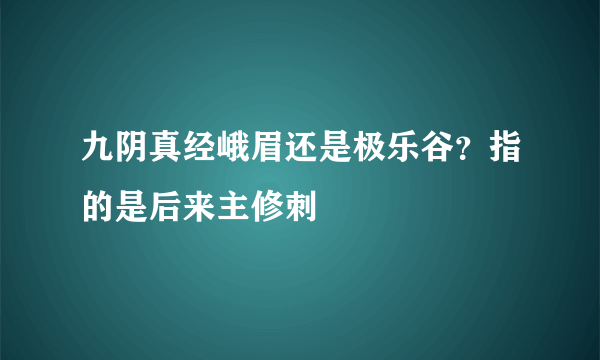 九阴真经峨眉还是极乐谷？指的是后来主修刺