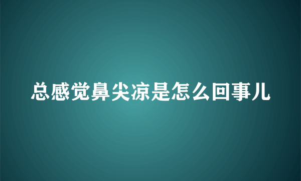 总感觉鼻尖凉是怎么回事儿