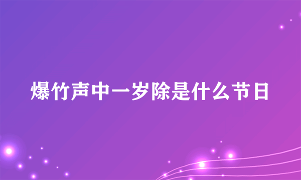 爆竹声中一岁除是什么节日