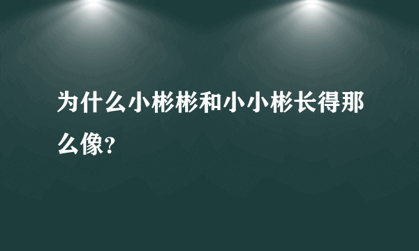 为什么小彬彬和小小彬长得那么像？