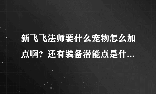 新飞飞法师要什么宠物怎么加点啊？还有装备潜能点是什么意思？