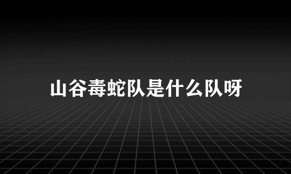 山谷毒蛇队是什么队呀