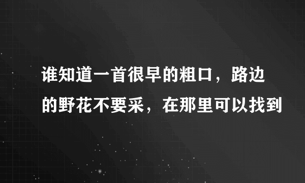 谁知道一首很早的粗口，路边的野花不要采，在那里可以找到