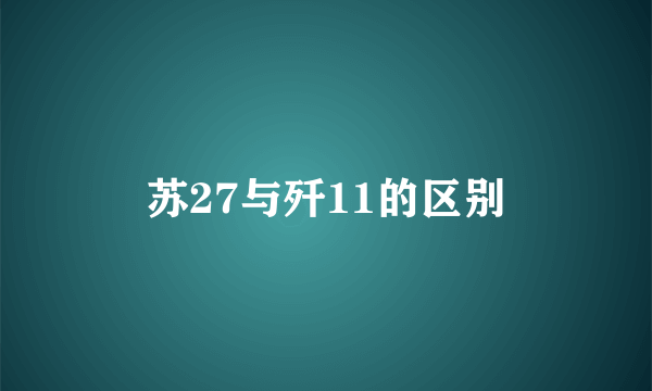 苏27与歼11的区别