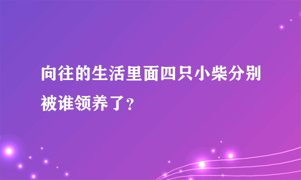 向往的生活里面四只小柴分别被谁领养了？