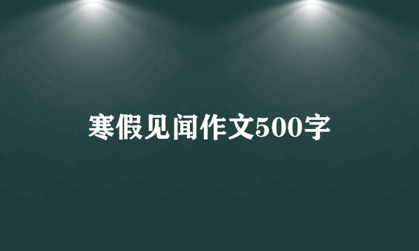 寒假见闻作文500字