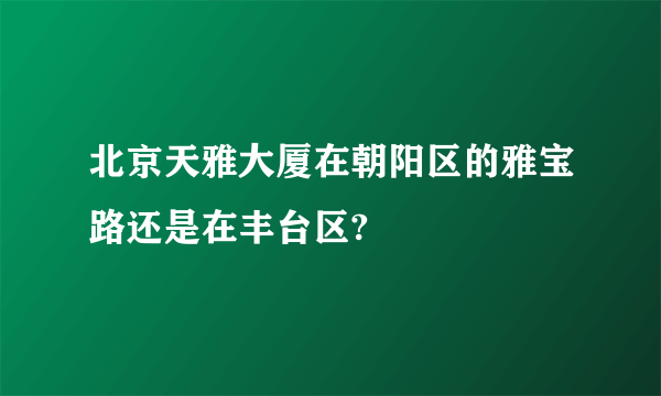 北京天雅大厦在朝阳区的雅宝路还是在丰台区?