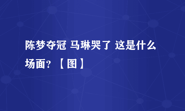 陈梦夺冠 马琳哭了 这是什么场面？【图】