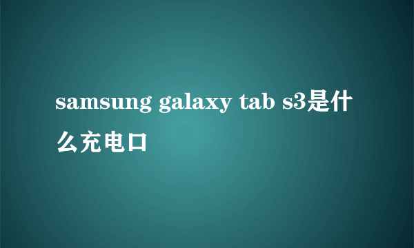 samsung galaxy tab s3是什么充电口