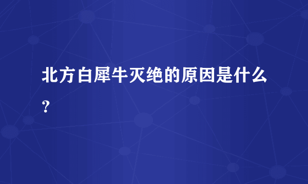 北方白犀牛灭绝的原因是什么？