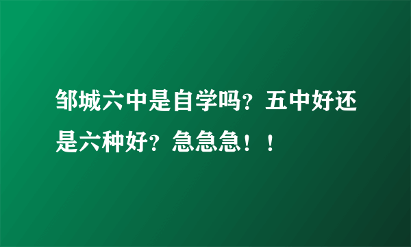 邹城六中是自学吗？五中好还是六种好？急急急！！