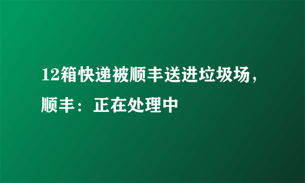 12箱快递被顺丰送进垃圾场，顺丰：正在处理中