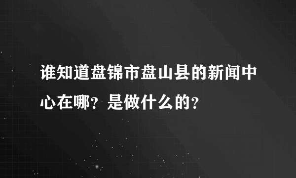 谁知道盘锦市盘山县的新闻中心在哪？是做什么的？