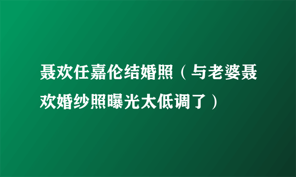 聂欢任嘉伦结婚照（与老婆聂欢婚纱照曝光太低调了）