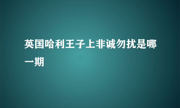 英国哈利王子上非诚勿扰是哪一期