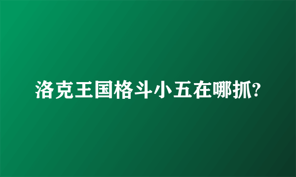 洛克王国格斗小五在哪抓?