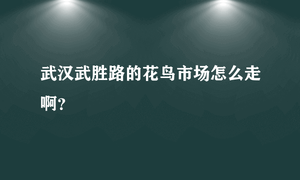 武汉武胜路的花鸟市场怎么走啊？