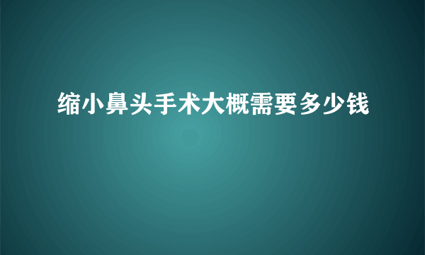 缩小鼻头手术大概需要多少钱