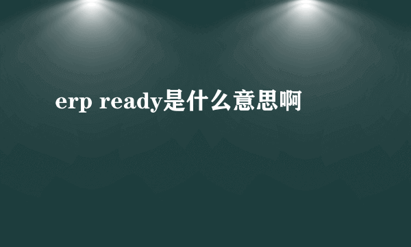 erp ready是什么意思啊