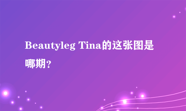 Beautyleg Tina的这张图是哪期？