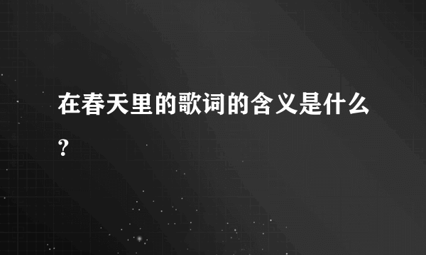 在春天里的歌词的含义是什么？