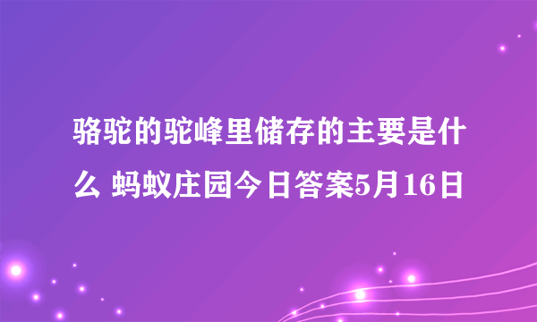 骆驼的驼峰里储存的主要是什么 蚂蚁庄园今日答案5月16日