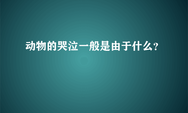 动物的哭泣一般是由于什么？