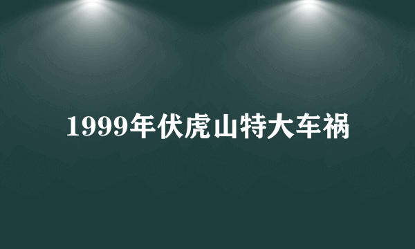 1999年伏虎山特大车祸