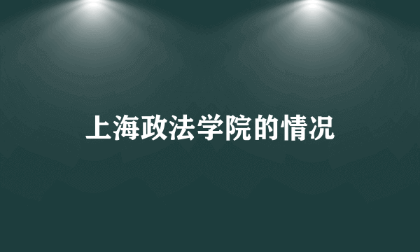 上海政法学院的情况