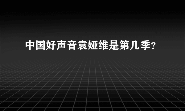 中国好声音袁娅维是第几季？