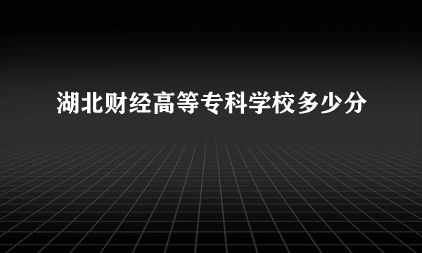 湖北财经高等专科学校多少分