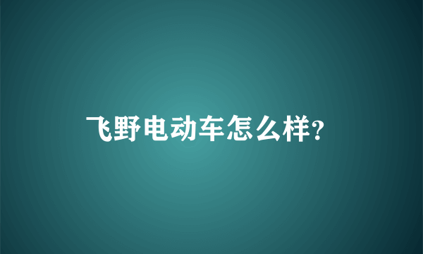 飞野电动车怎么样？