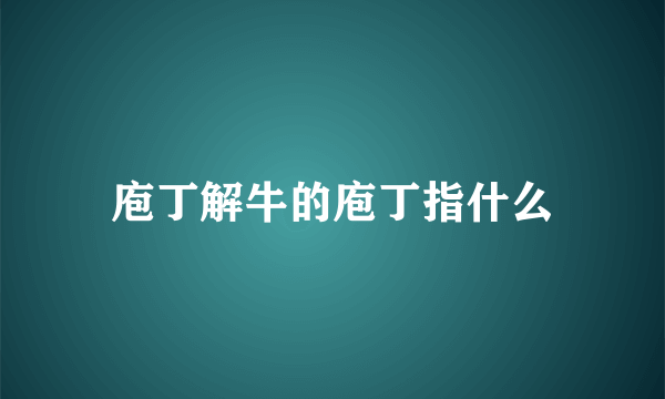 庖丁解牛的庖丁指什么