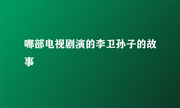 哪部电视剧演的李卫孙子的故事