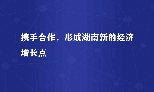 携手合作，形成湖南新的经济增长点