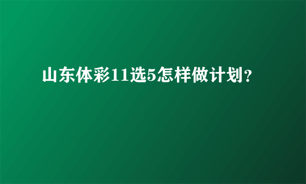 山东体彩11选5怎样做计划？